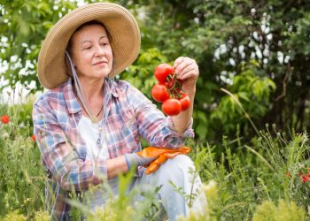 Cum să ai o grădină bio și sănătoasă fără utilizarea pesticidelor