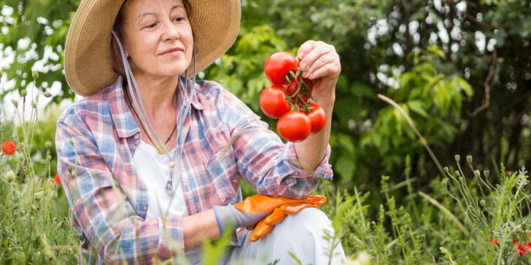 Cum să ai o grădină bio și sănătoasă fără utilizarea pesticidelor