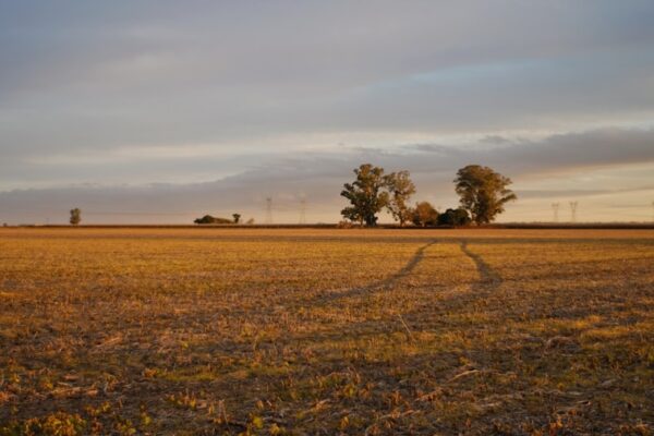 Cele mai bune pompe de irigatii agricole pentru recolta ta perfecta