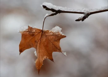 Prognoza meteo, 11 decembrie. Vreme instabilă pe final de săptămână. Ploile pun stăpânire pe mai multe județe