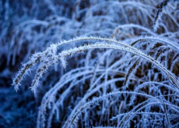 Prognoza meteo, 20 decembrie. Temperaturile scad semnificativ în toată țara. Nu vor lipsi ploile