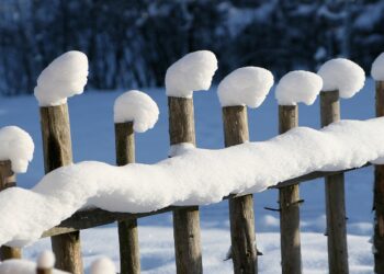 Ciclon polar peste România. Boboteaza vine cu ninsori abundente, viscol și polei